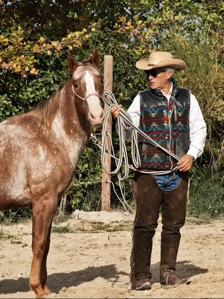 Passeggiata a Cavallo