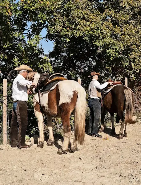 Passeggiata a Cavallo
