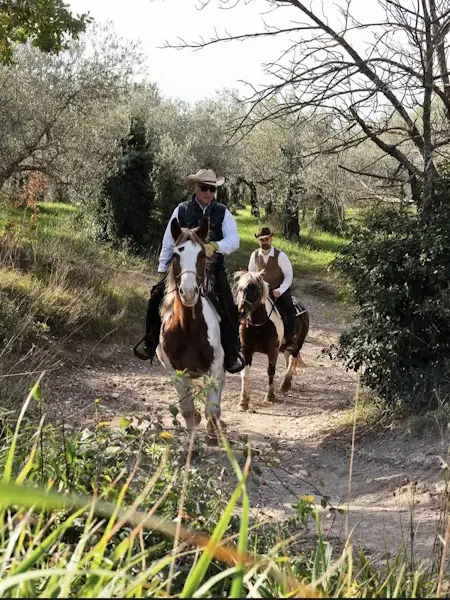 Esperienza di passeggiata a cavallo